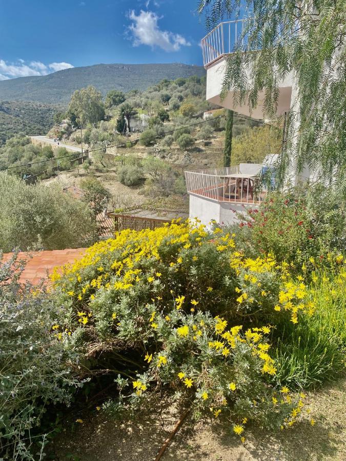Ses Terrasses Apartment Cadaques Bagian luar foto