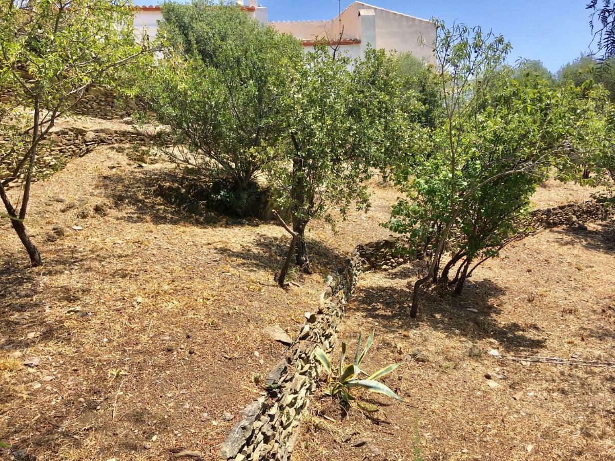 Ses Terrasses Apartment Cadaques Bagian luar foto